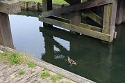 160-Marken,1 giugno 2010